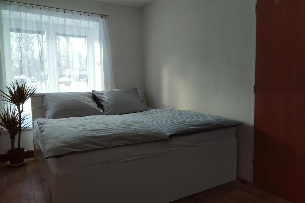 Apartman Pod Rickami Διαμέρισμα Rokytnice v Orlických Horách Εξωτερικό φωτογραφία